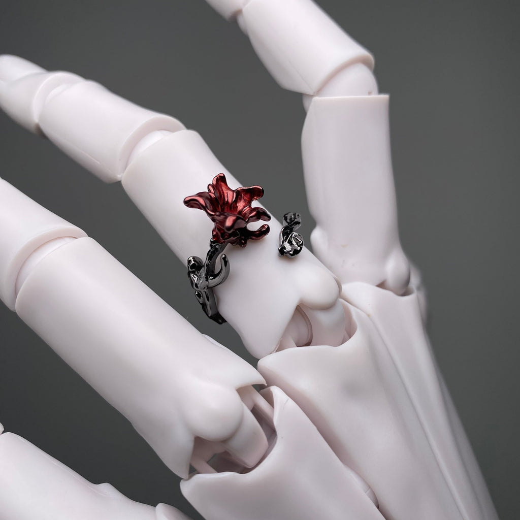 Blood Lily